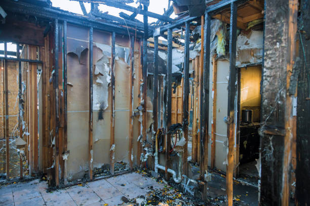 Professional Smoke Damage Removal technician working in Clinton, MO